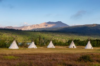 Güneşli bir yaz sabahı, arka planda Amerikan Rocky Dağı manzaralı bir tarlada güzel bir Tipi manzarası. Montana 'da, Buzul Ulusal Parkı yakınlarında çekildi..