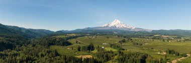 Arka planda Hood Dağı 'nın bulunduğu Amerikan peyzajının ve Yeşil Çiftlik Alanlarının Havadan Panoramik Manzarası. Oregon, Amerika Birleşik Devletleri 'nde çekildi..