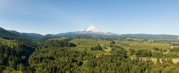 背景にマウントフッドとアメリカの風景や緑の農場フィールドの空中パノラマビュー アメリカのオレゴン州で撮影 — ストック写真