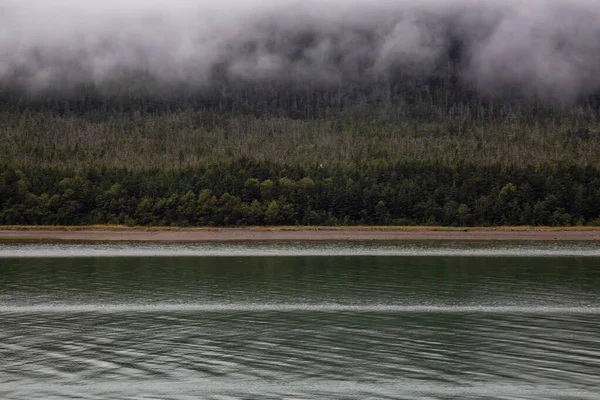 Vacker Amerikansk Naturutsikt Grumlig Morgon Stranden Med Skog Bakgrunden Taget — Stockfoto