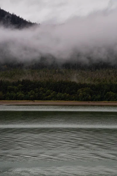 Чудовий Американський Краєвид Природу Хмарний Ранок Пляжу Лісом Задньому Плані — стокове фото