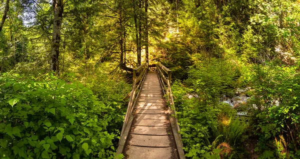 Bela natureza canadense — Fotografia de Stock