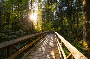 Güzel Kanada Doğası