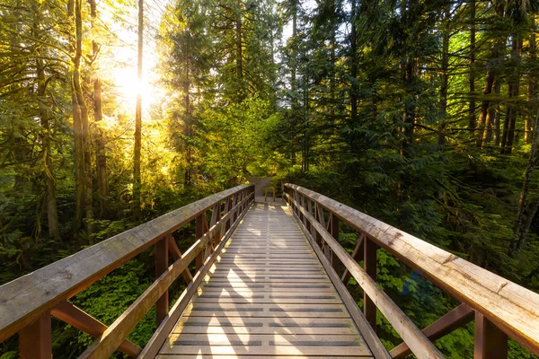 Bella natura canadese — Foto Stock