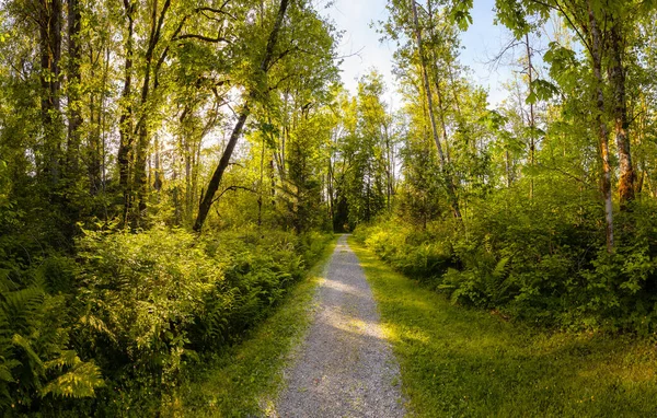 Hermosa naturaleza canadiense — Foto de Stock