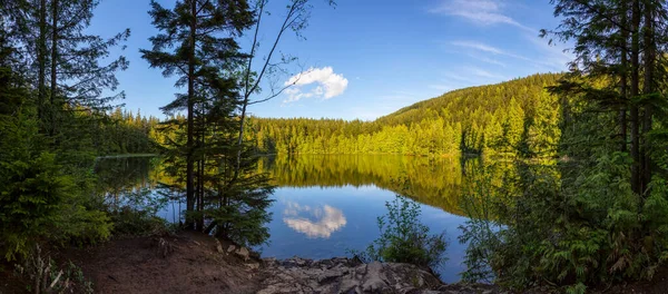 Kanadyjska natura w lesie — Zdjęcie stockowe