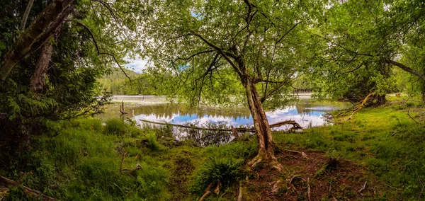 Kilarney Lake, Bowen Island, British Columbia, Canada — стокове фото