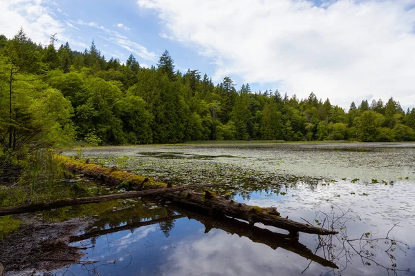 Kilarney Lake, Bowen Island, Colombie-Britannique, Canada — Photo