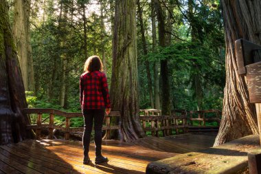 Yağmur Ormanında Kız Yürüyüşü