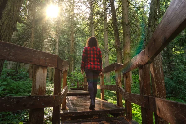 Girl Hiking in Rain Forest — Stok Foto