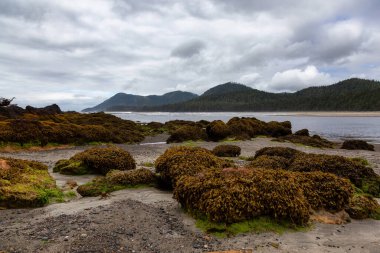 Salt Cove, British Columbia, Kanada