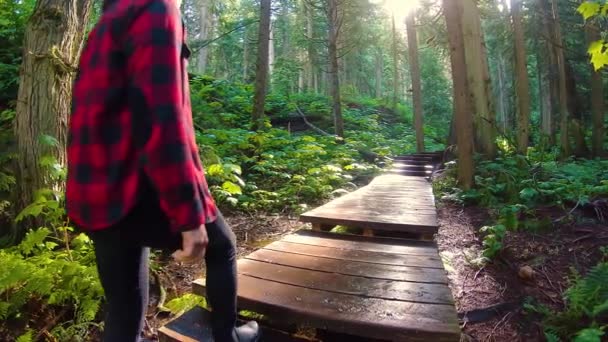 Dívka pěší turistika v deštném pralese — Stock video