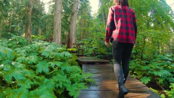 Meisje wandelen in het regenwoud — Stockvideo