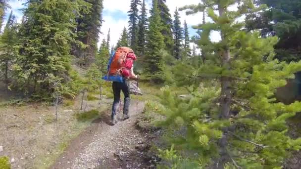 Aventure Randonnée pédestre dans le parc provincial Iconic Mt Assiniboine près de Banff — Video