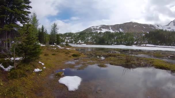 Glacier Lake i Canadian Rockies under en molnig dag. — Stockvideo