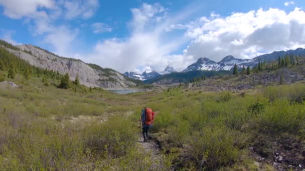 Mochilero de aventura en el icónico Parque Provincial Mt Assiniboine cerca de Banff — Vídeo de stock