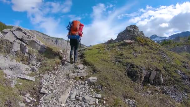 Kaland hátizsák az Iconic Assiniboine Tartományi Parkban Banff közelében — Stock videók