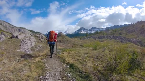 Mochilero de aventura en el icónico Parque Provincial Mt Assiniboine cerca de Banff — Vídeos de Stock