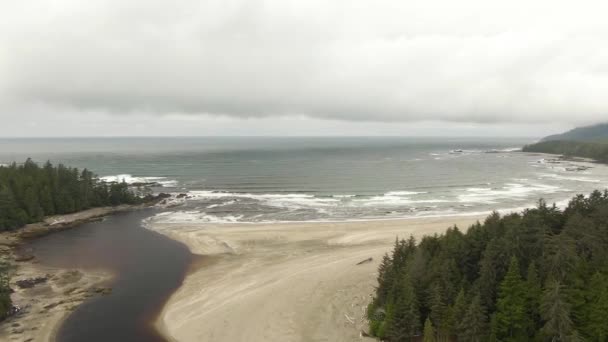 Widok z lotu ptaka na piaszczystą plażę z falami pochodzącymi z oceanu. — Wideo stockowe