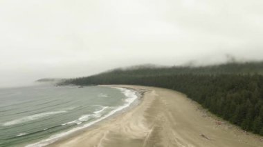 Okyanustan gelen dalgalarla kumsal manzarası..