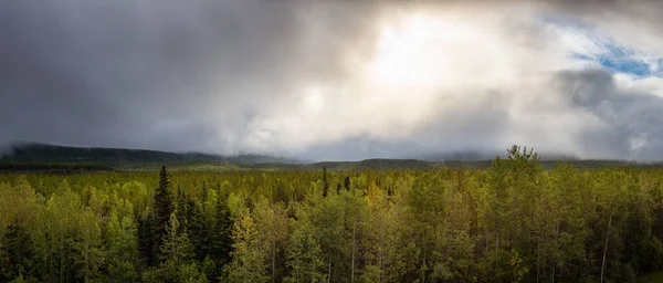 Güneşli bir yaz gündoğumu sırasında Kanada Doğa Manzarası. — Stok fotoğraf