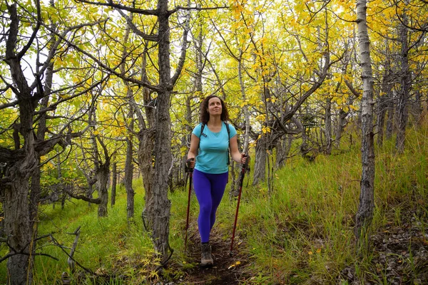 Aventurero caucásico chica senderismo en el hermoso bosque —  Fotos de Stock