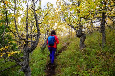 Maceracı kız dağda yürüyüş yapıyor.
