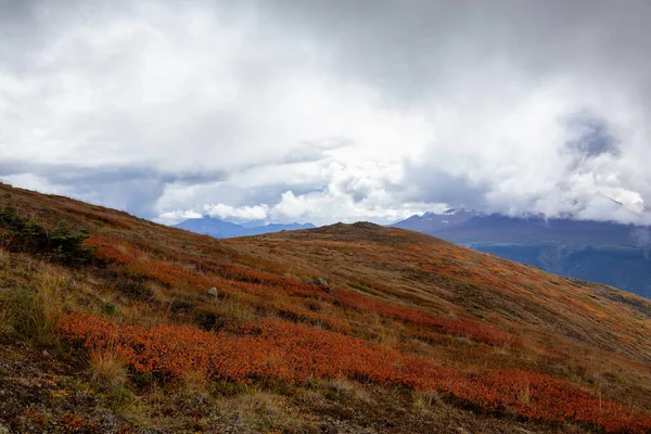 Natur im Yukon, Kanada — Stockfoto