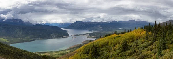 Nature in Yukon, Canada — Stock Photo, Image