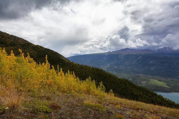 Nature in Yukon, Canada — Stock Photo, Image