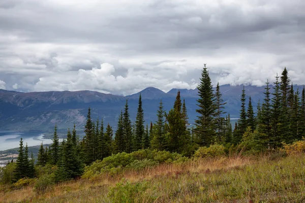 Příroda v Yukonu, Kanada — Stock fotografie