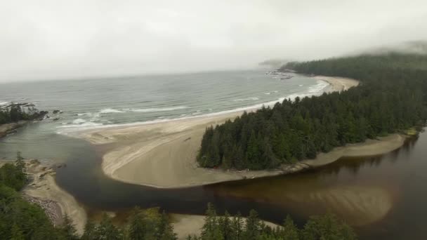 Vista aérea de uma praia de areia com ondas vindas do oceano. — Vídeo de Stock