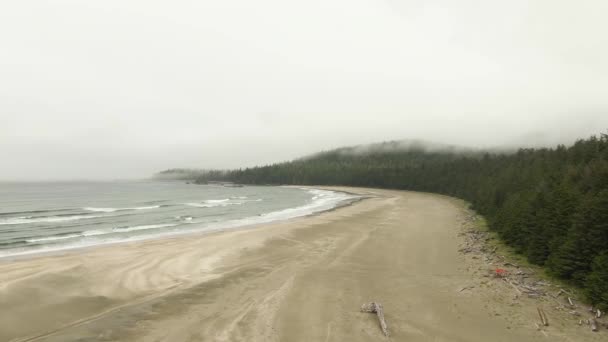 Vista aérea de uma praia de areia com ondas vindas do oceano. — Vídeo de Stock