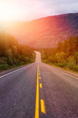 Güzel Manzaralı Yol, Klondike Hwy, Kanada Doğası 'nda