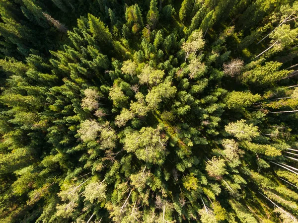 Gyönyörű panoráma kilátás a kanadai természet — Stock Fotó