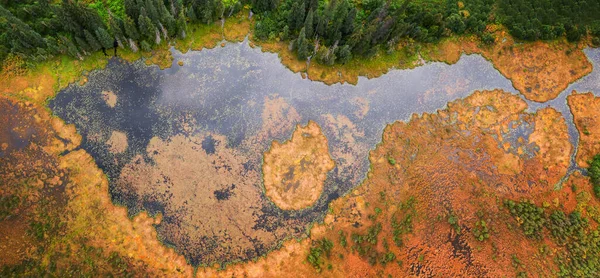 Légi panorámás kilátás színes tó a mocsaras egy nyári napon. — Stock Fotó