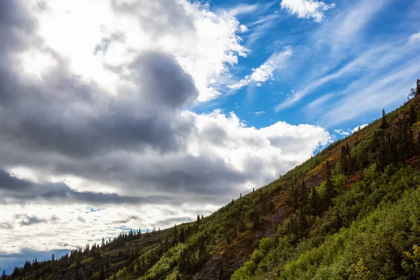Kanada Doğa Manzarası