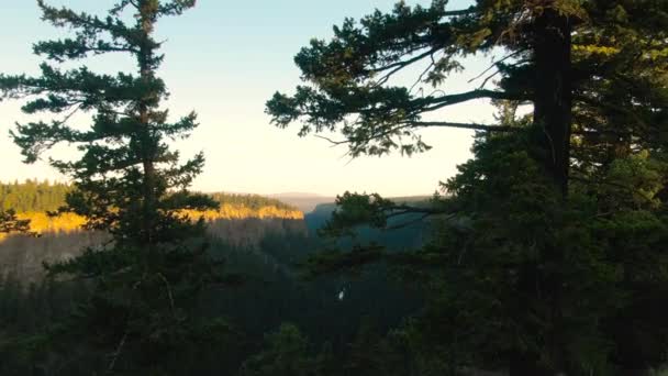 Όμορφη θέα της καναδικής φύσης — Αρχείο Βίντεο