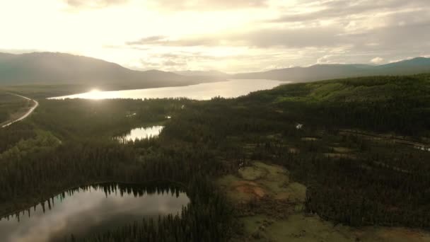 Impresionante vista de los lagos serenos rodeados de hermosos árboles — Vídeos de Stock