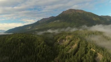 Manzaralı Dağ ve Orman Manzarası