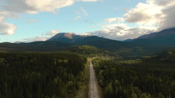 Schöne Aussicht auf die malerische Straße, umgeben von Wald und Bergen — Stockvideo