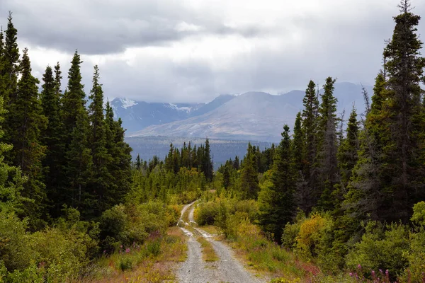 Camino de la suciedad que conduce al bosque durante una temporada de otoño —  Fotos de Stock