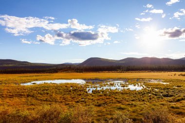 Kanada Doğa Manzarası