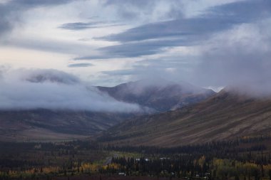 Kanada Doğa Manzarası