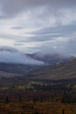 Kanada Doğa Manzarası