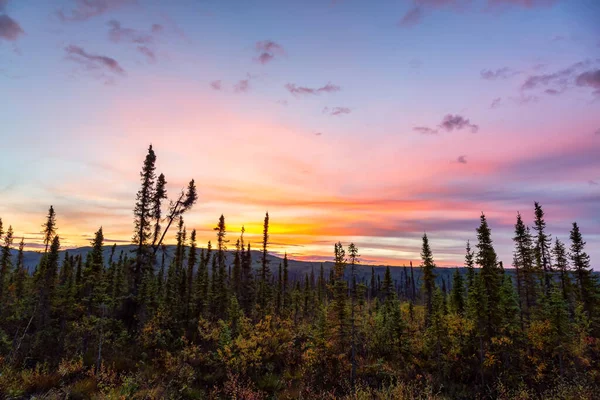 Kanadská přírodní krajina — Stock fotografie