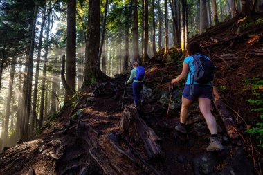 Ormanda Yürüyüş yapan Kız.