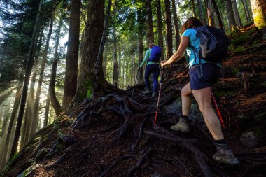Ormanda Yürüyüş yapan Kız.