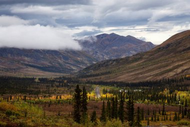 Kanada Doğa Manzarası