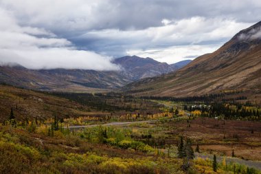Kanada Doğa Manzarası